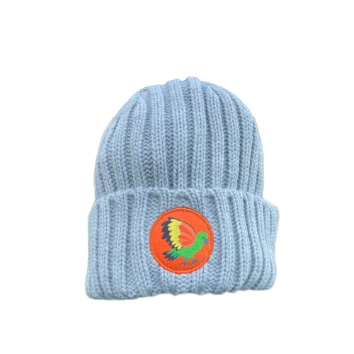 Kids grey knit beanie with Kea bird emblem.