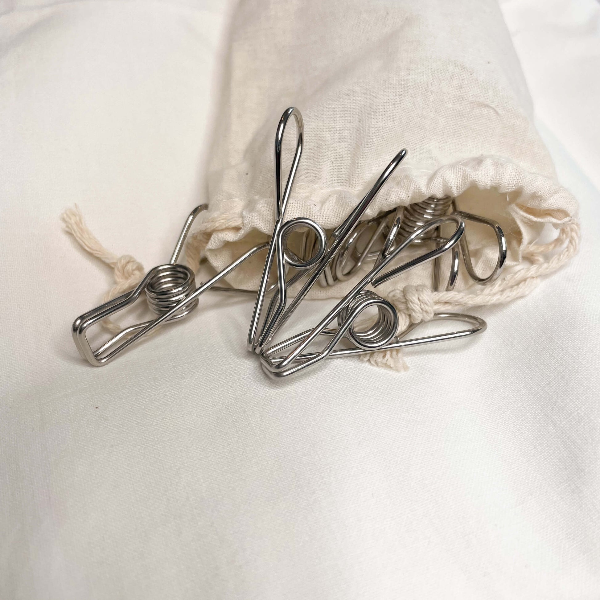 Stainless steel pegs with cotton bag.