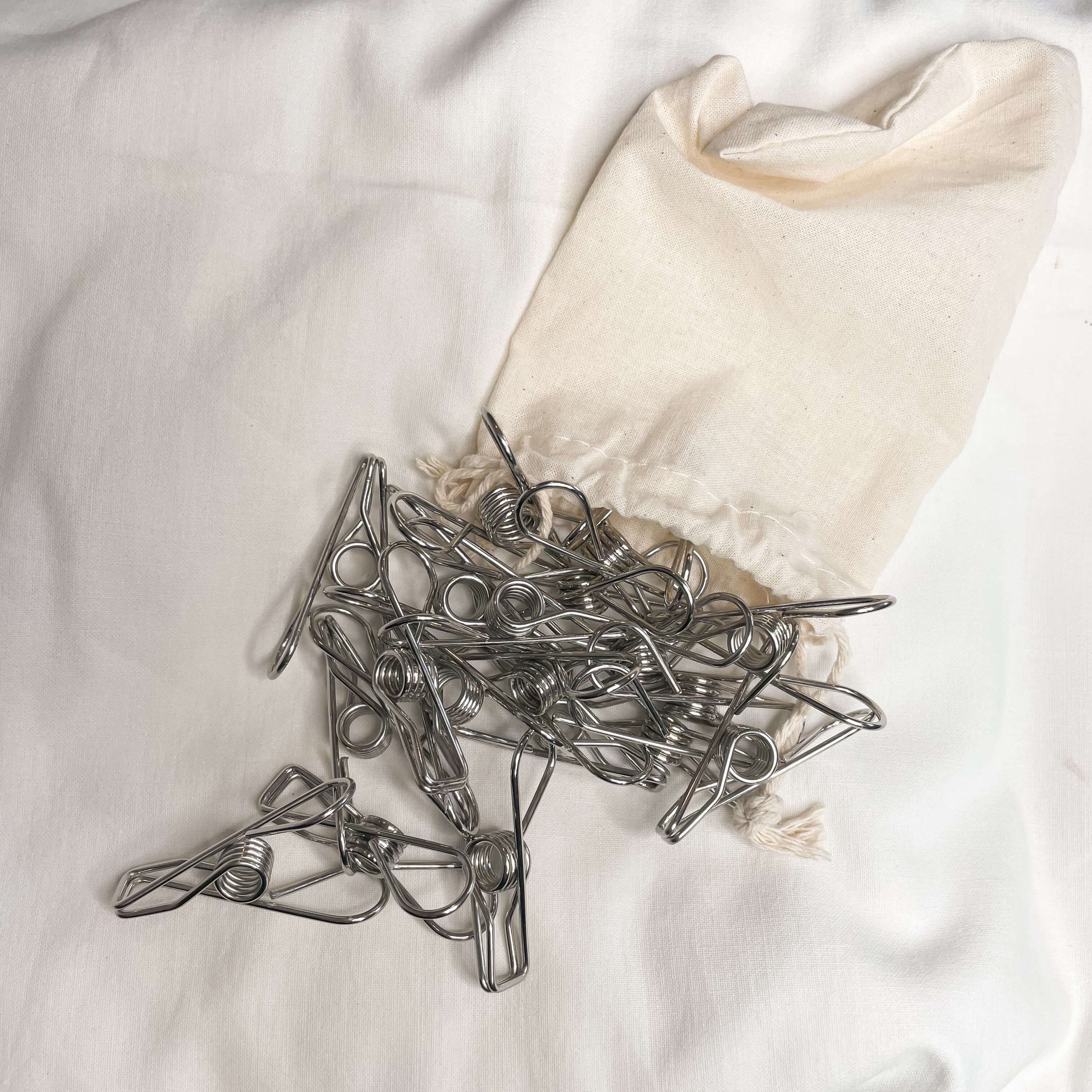 Stainless steel pegs with cotton bag.