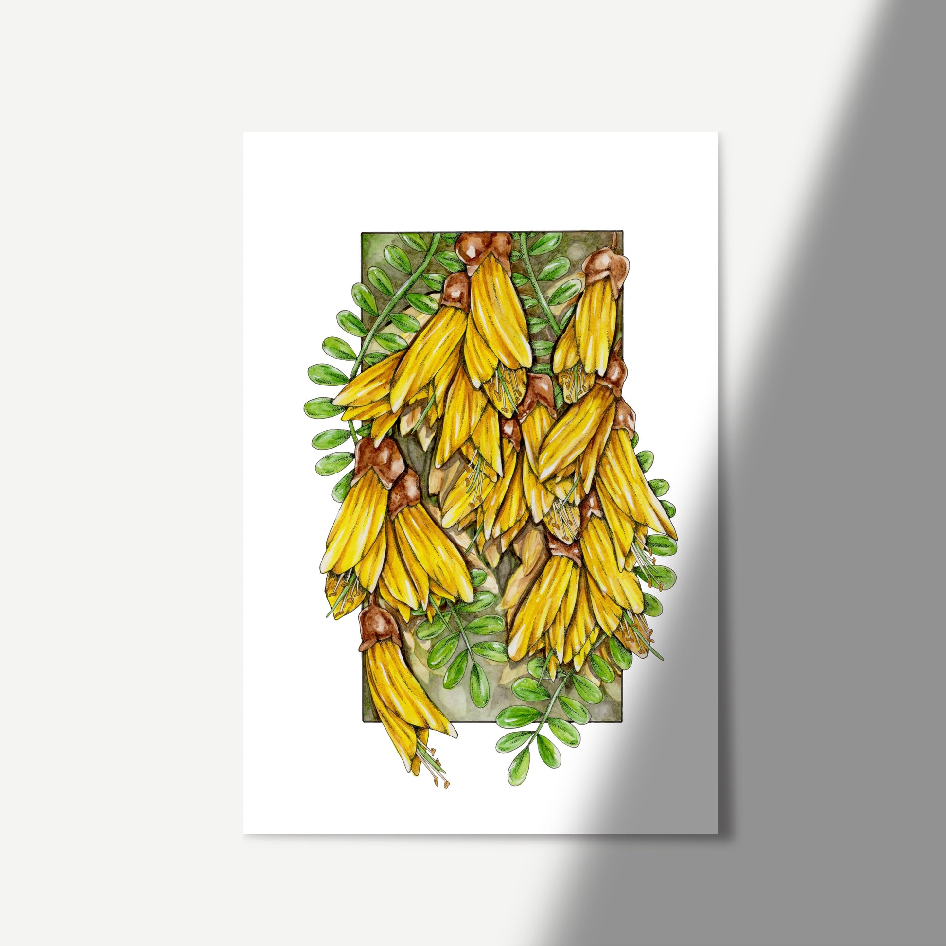 Artwork featuring yellow kowhai flowers cascading out of a frame amongst the green leaves.