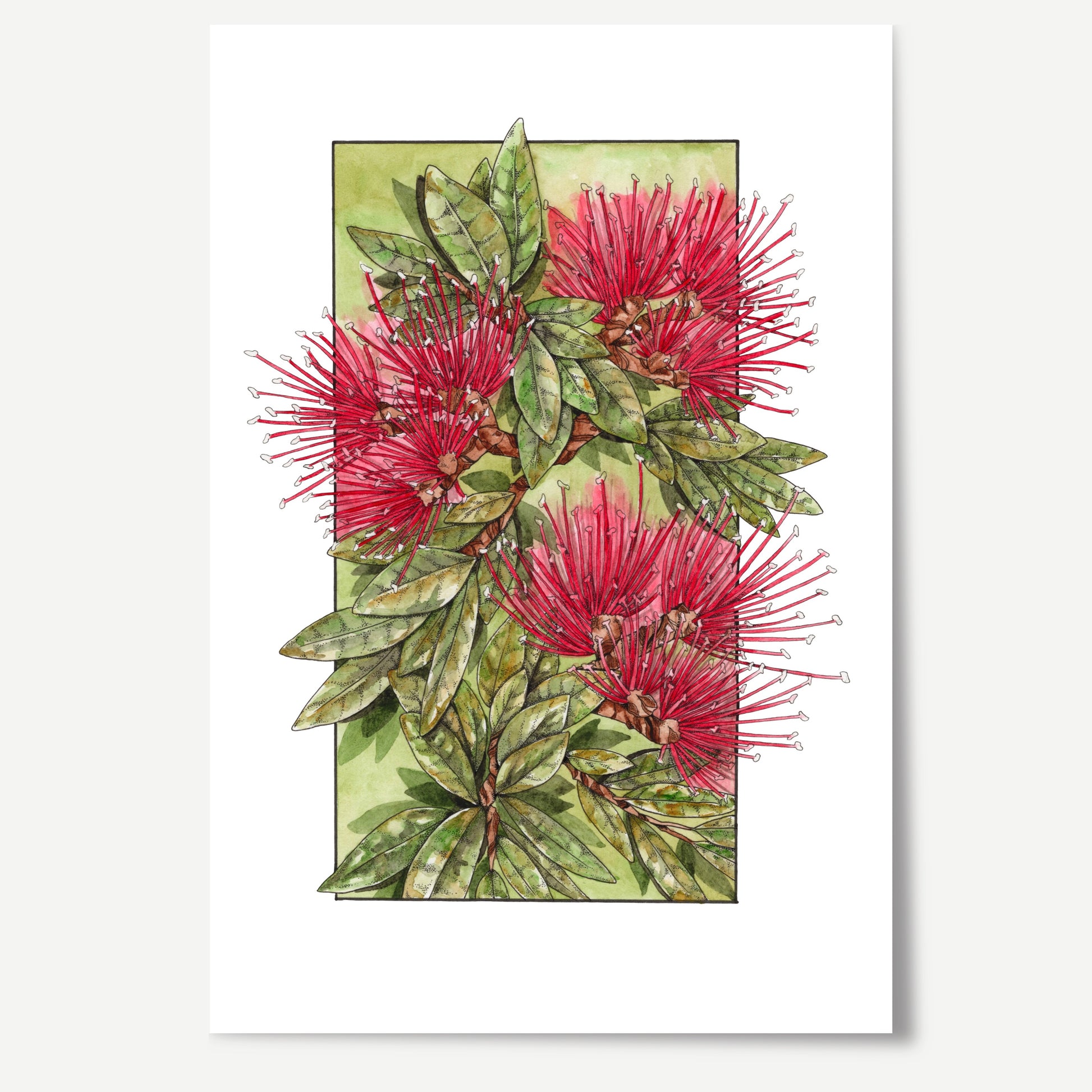 Watercolour art featuring the red pohutukawa flower and green foliage.