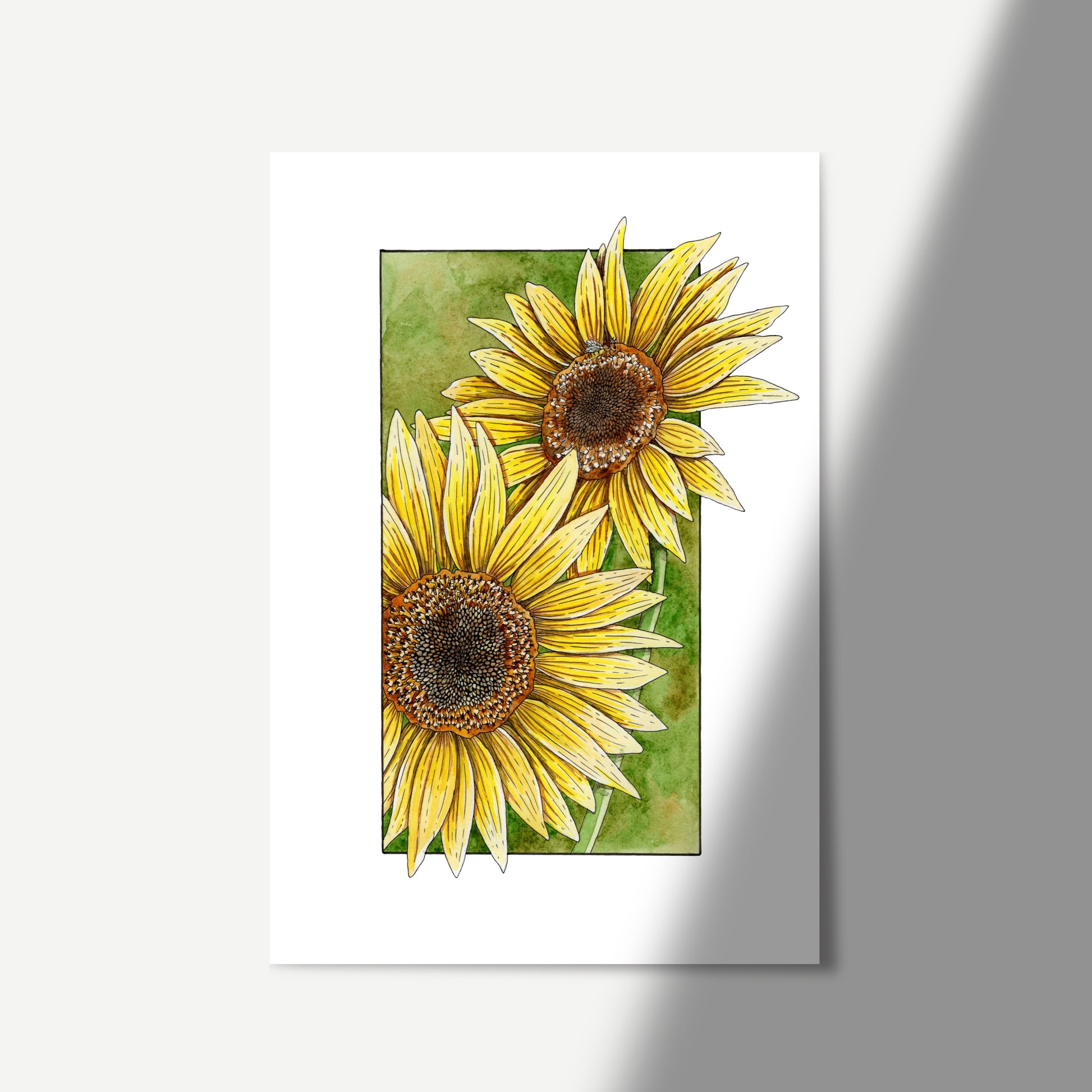 Beautiful Sunflower watercolour artwork.