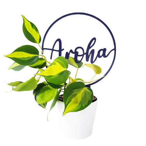 Hoop plant climbing frame with the word Aroha in  the middle.