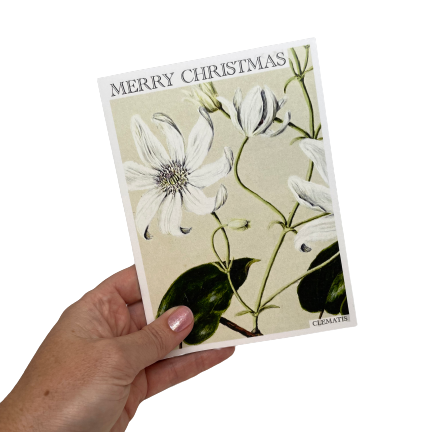 Christmas card with Clematis flowers.