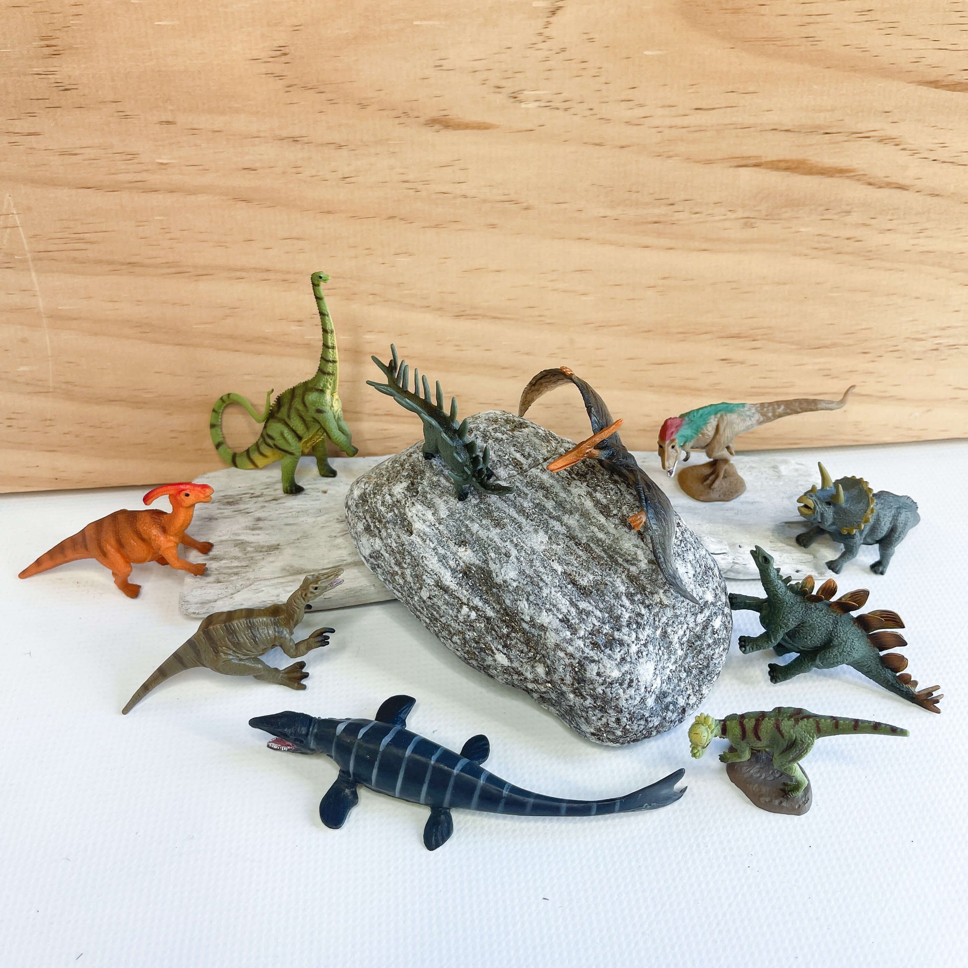Mini dinosaur figurines.
