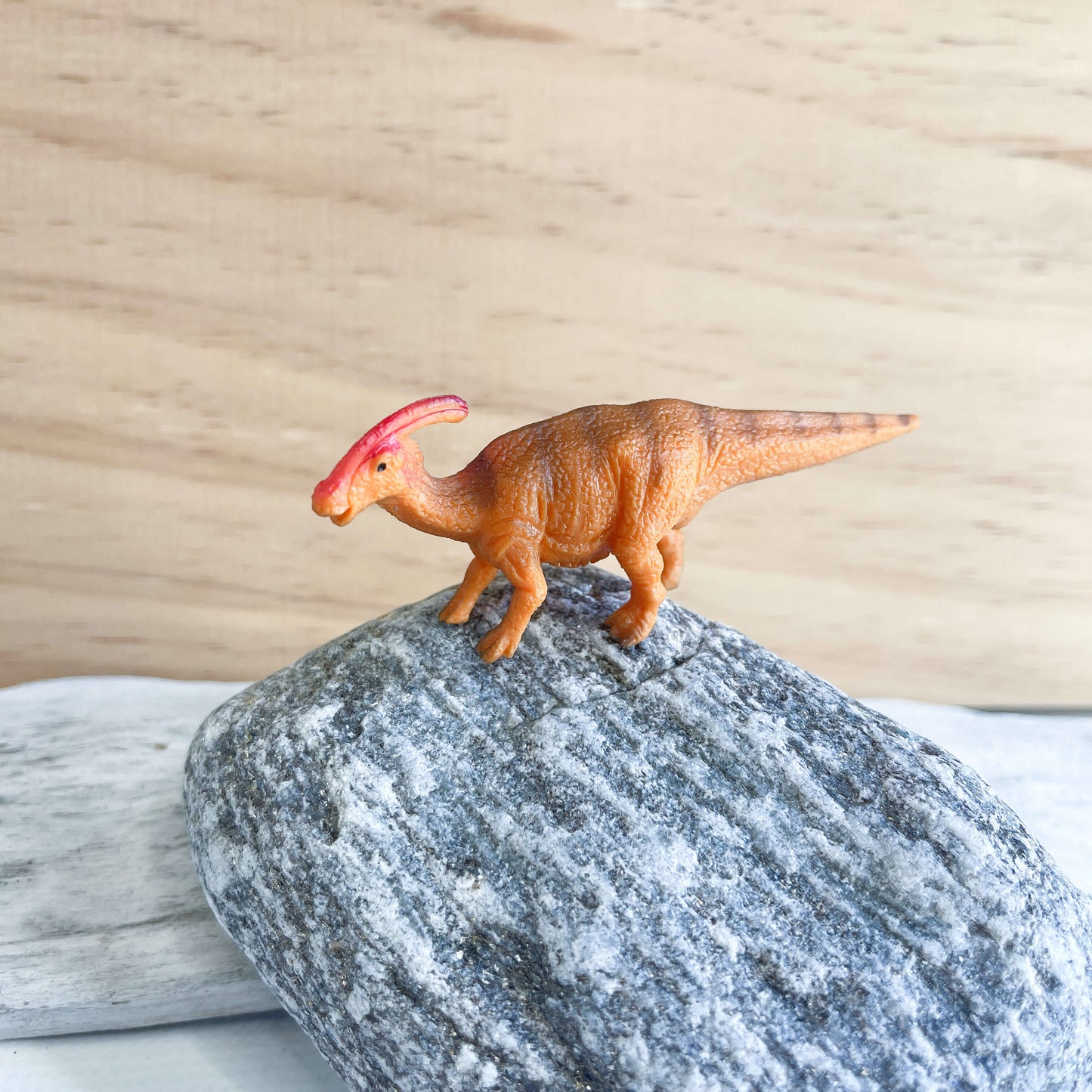 Mini dinosaur figurines.