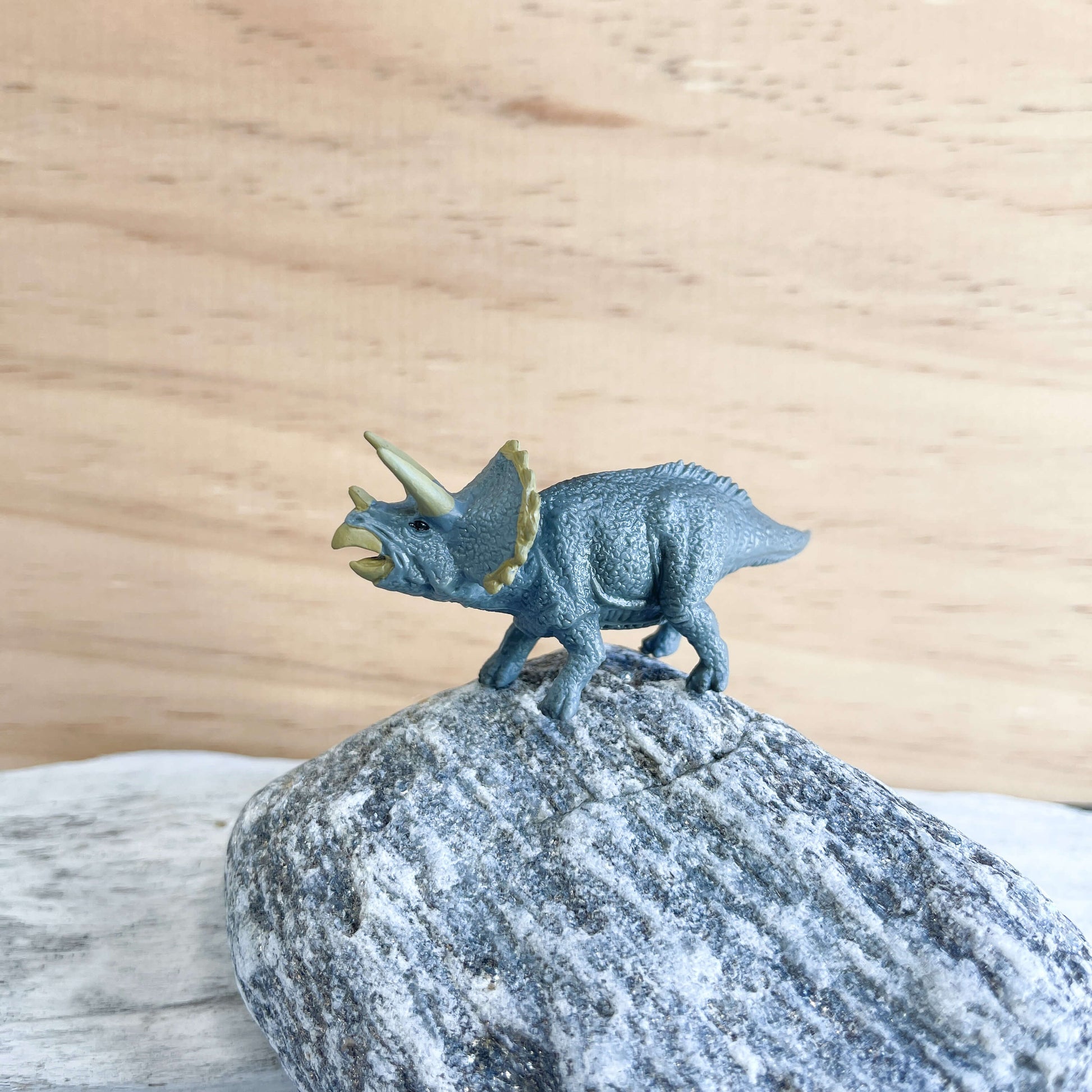 Mini dinosaur figurines.