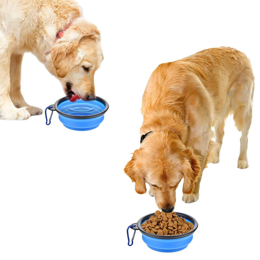 Dog eating and drinking from silicone travel bowl.