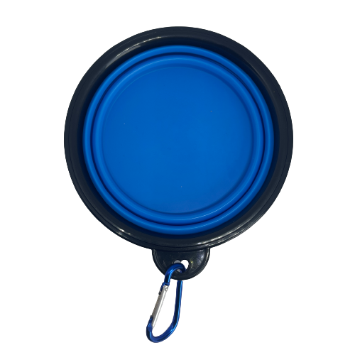 Blue silicone collapsible dog bowl.