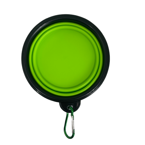 Green silicone collapsible dog bowl.