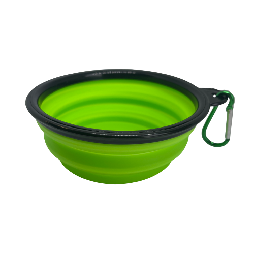 Green silicone collapsible dog bowl.