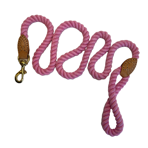 Cotton rope dog leash.