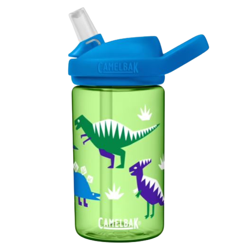 Kids green and blue dinosaur drink bottle by camlebak. 