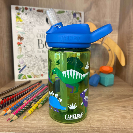 Kids green and blue dinosaur drink bottle by camlebak. 