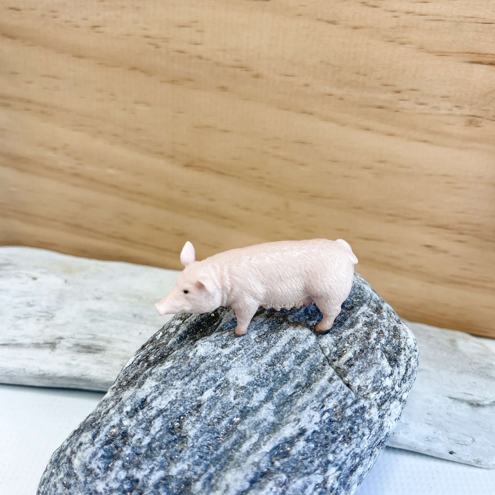 Mini pig figurine.
