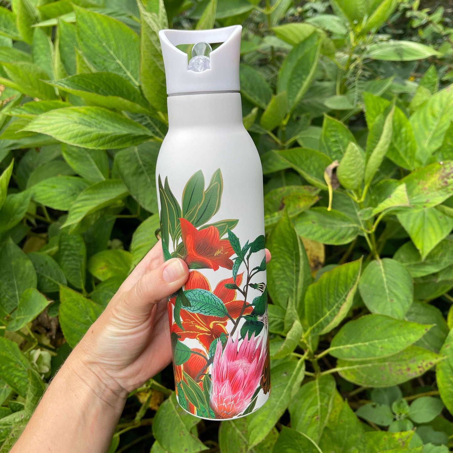 Womens hand holding a white drink bottle featuring artwork of a Kaka bird and flowers. Bottle has a white plastic sipper top..