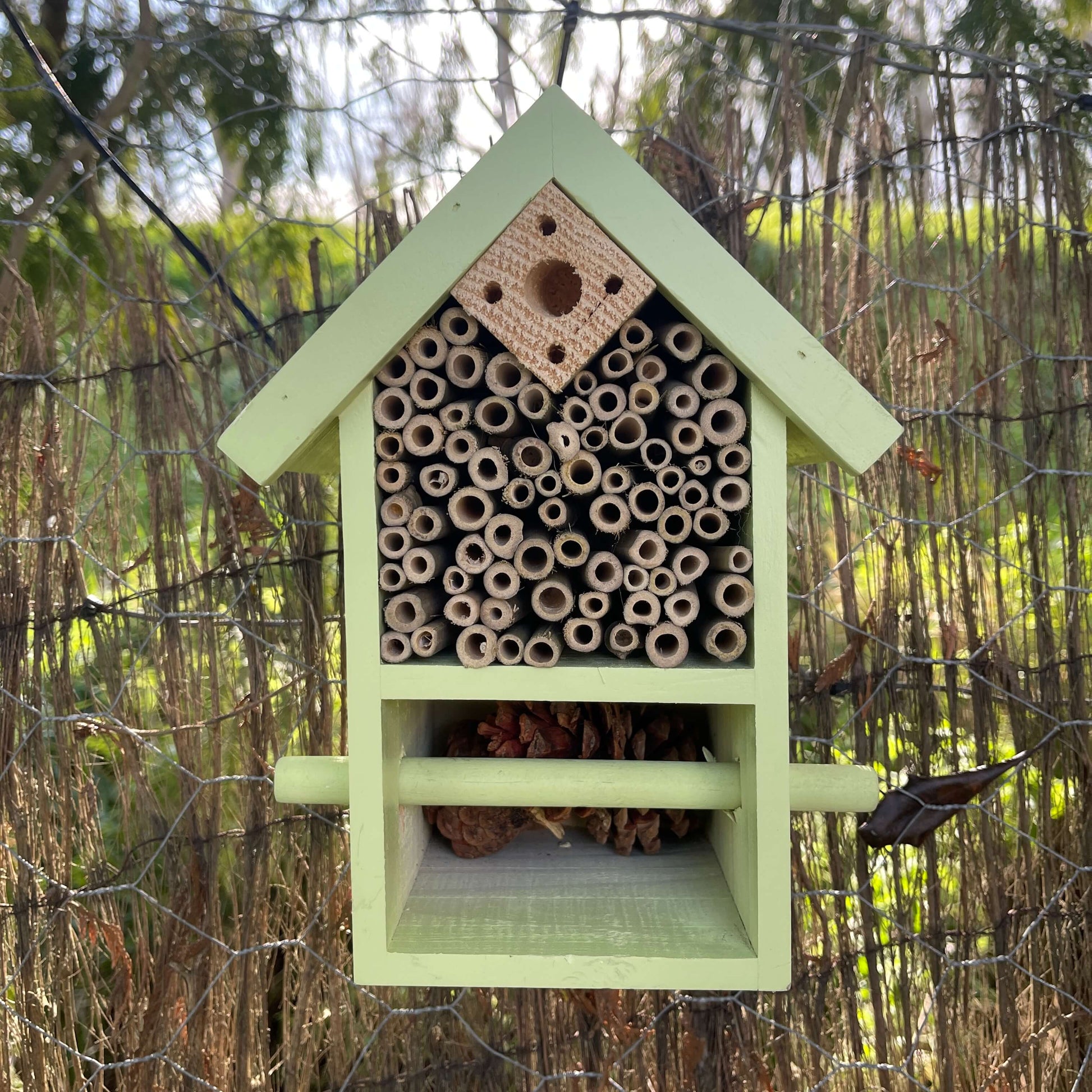 Wooden bug and bee hotel.