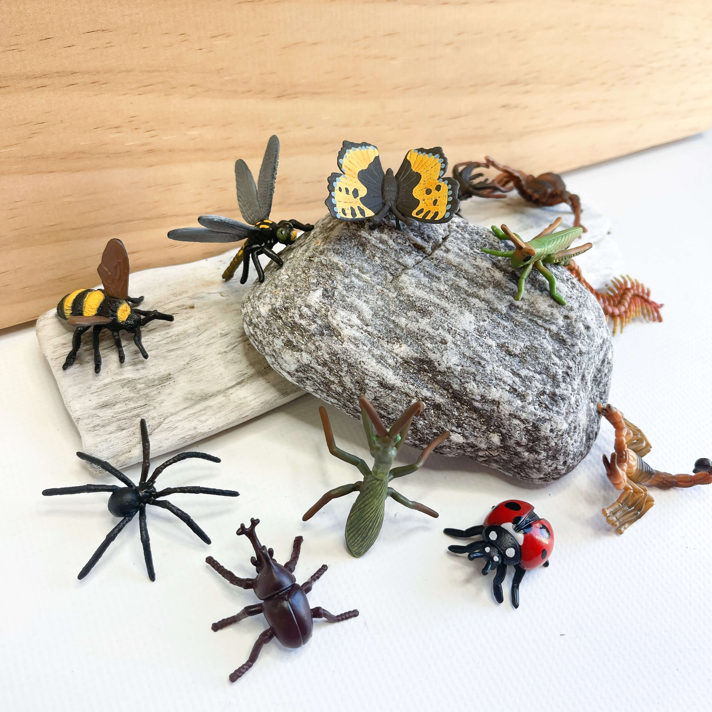 CollectA Mini Insects & Spiders – School Fundraising Shop NZ