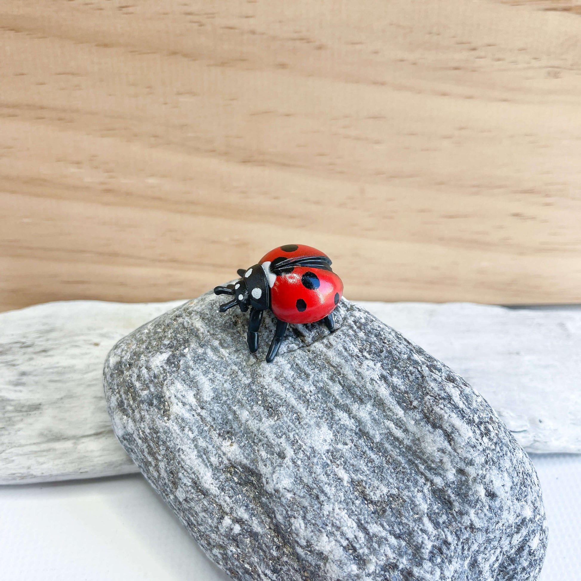 Mini ladybug figurine.