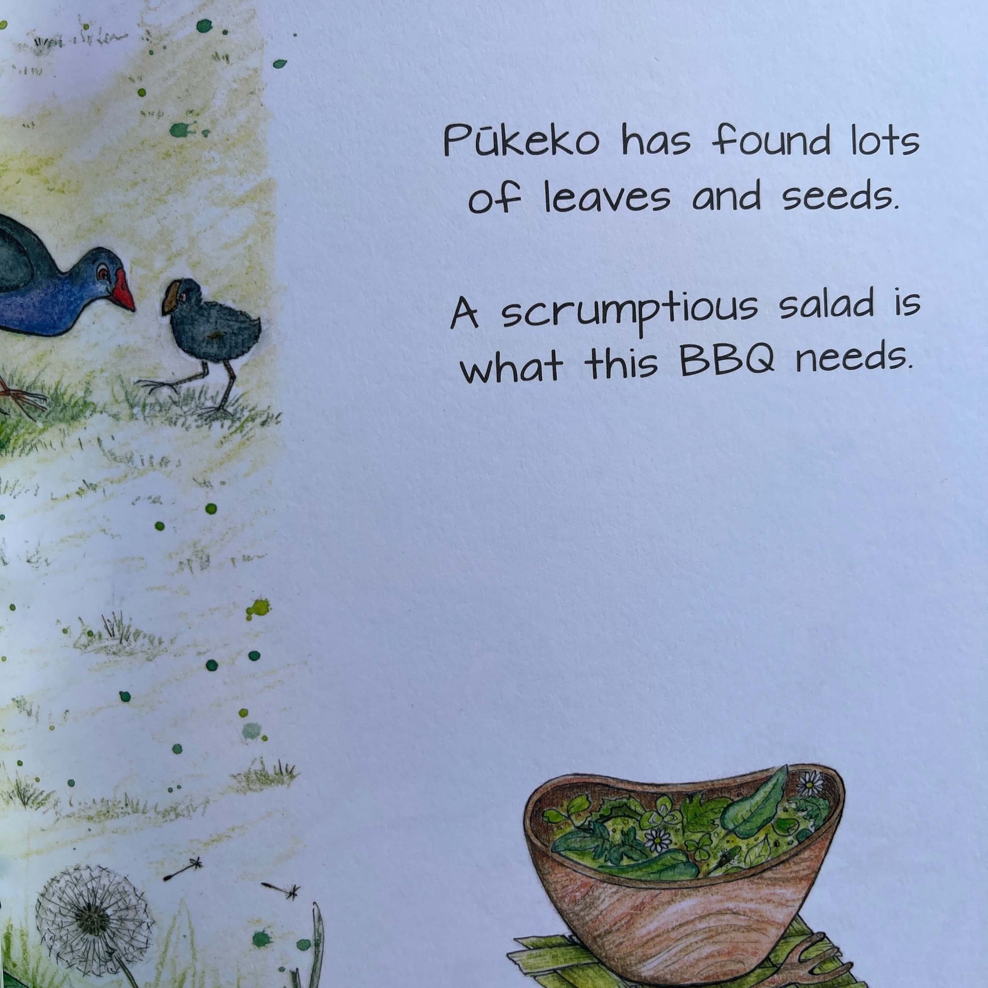 Page from Childrens book Kererus BBQ.