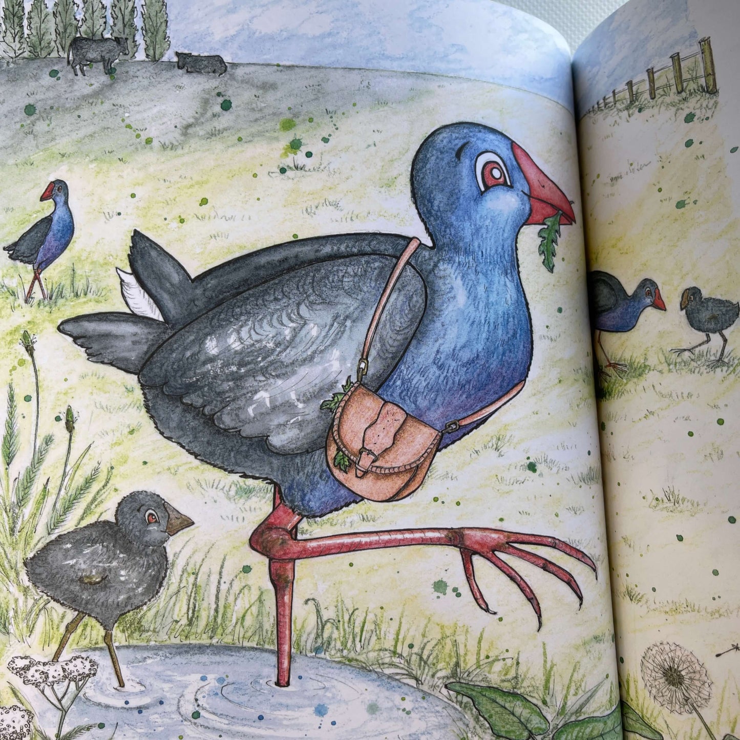 Illustrations from Childrens book Kererus BBQ.