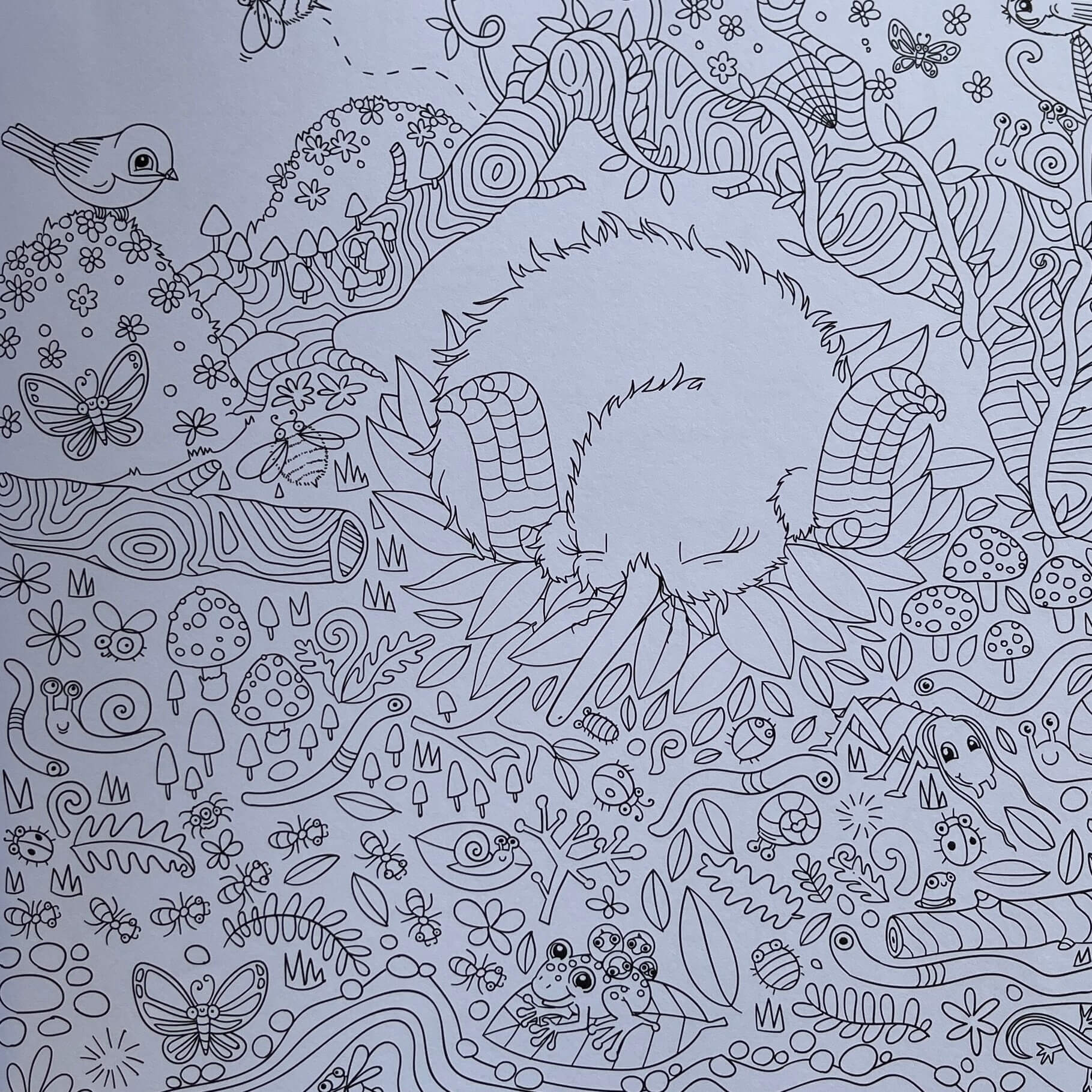 Page from Kuwis Creative colouring book by Kat Merewether.