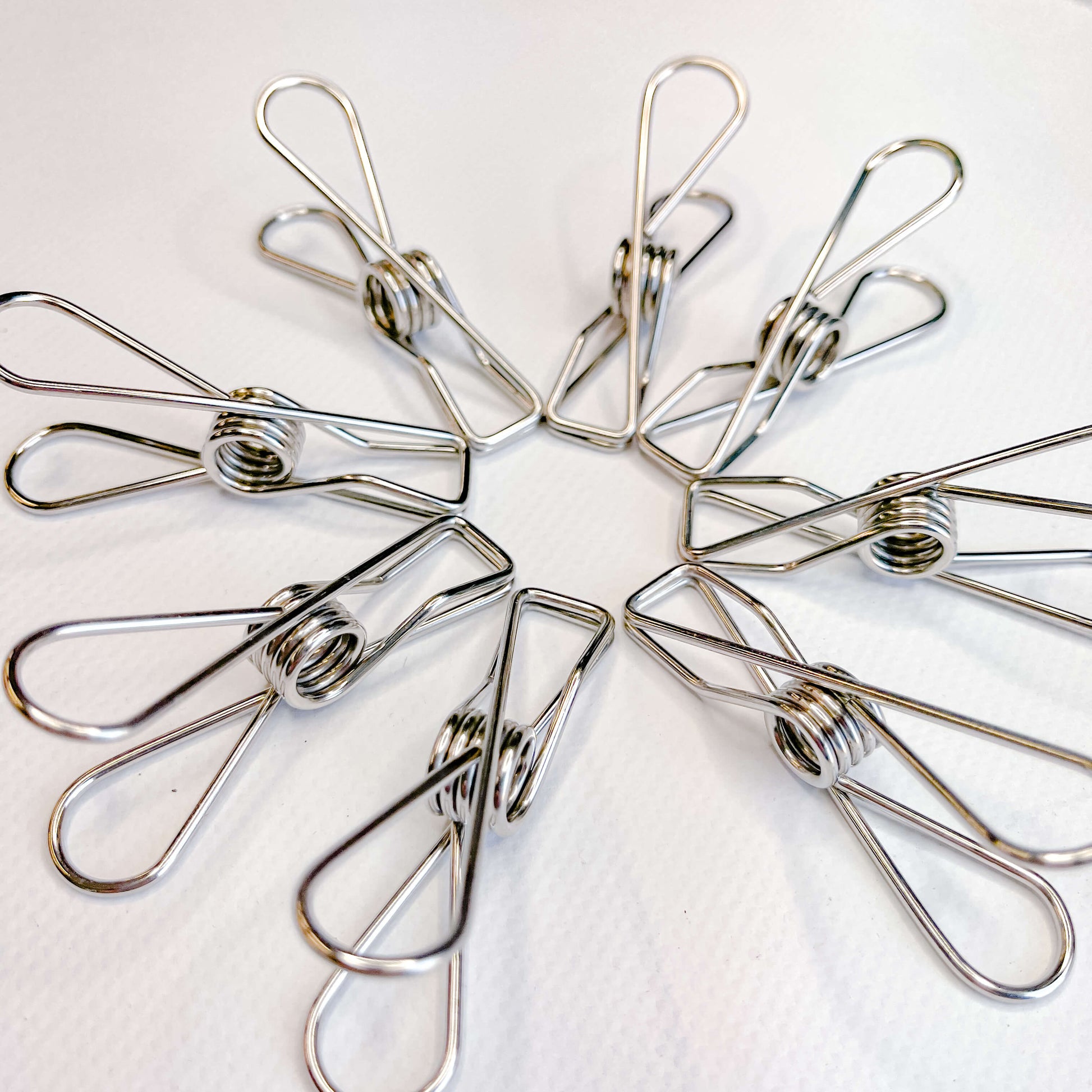 Stainless steel pegs