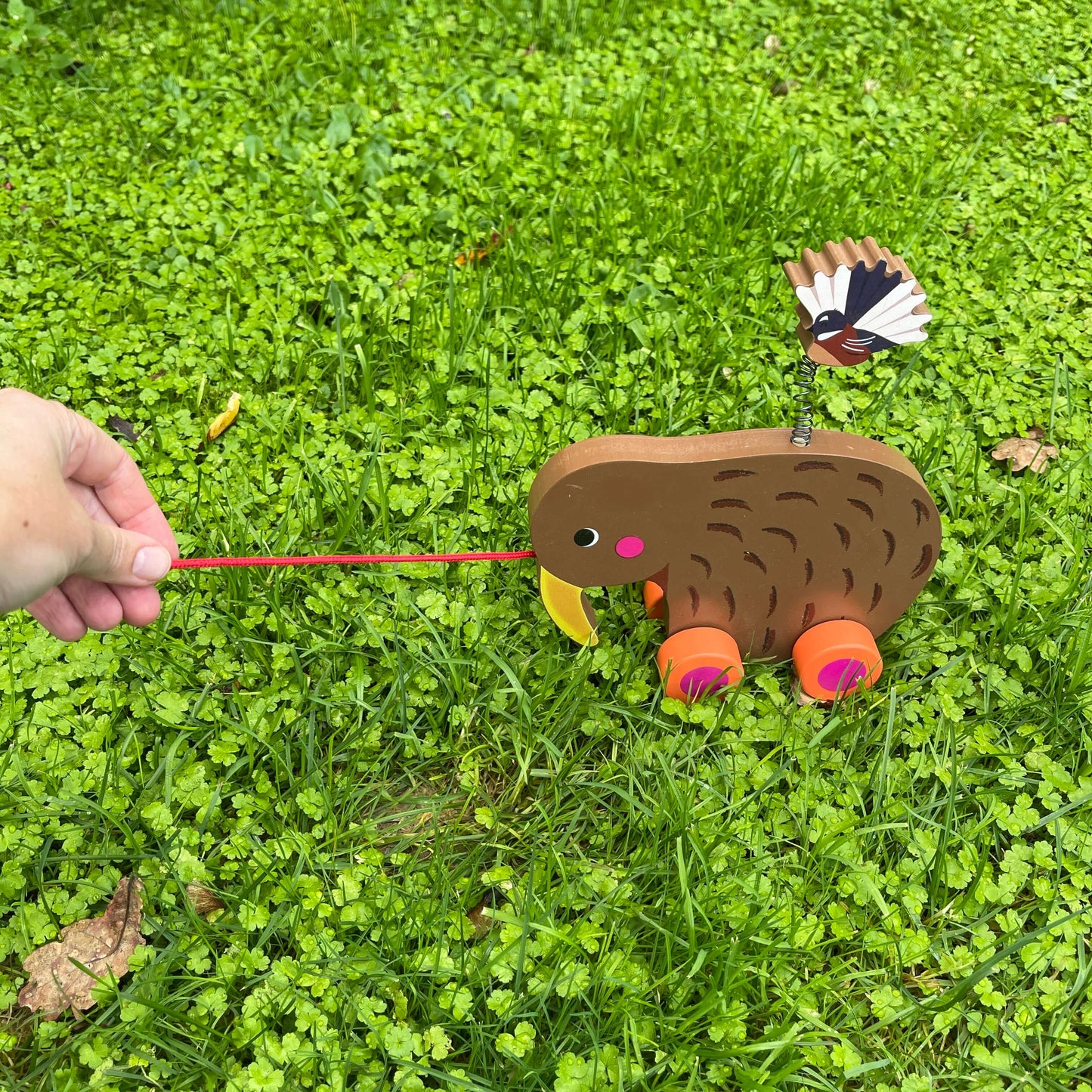 Pull-along wooden Kiwi bird toy with a fantail bird on a spring attached to the Kiwis back.