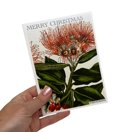 Christmas card with Pohutukawa flowers.