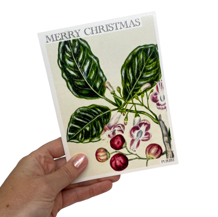 Christmas card with Puriri flowers.