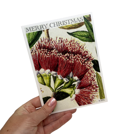 Christmas card with Rata flowers.