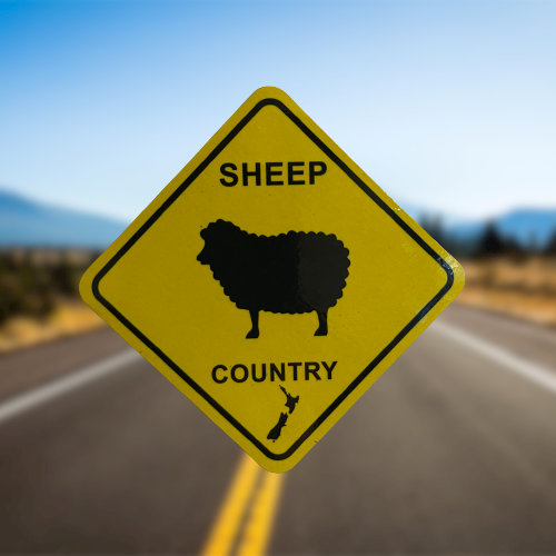 Sheep Country road sign magnet.