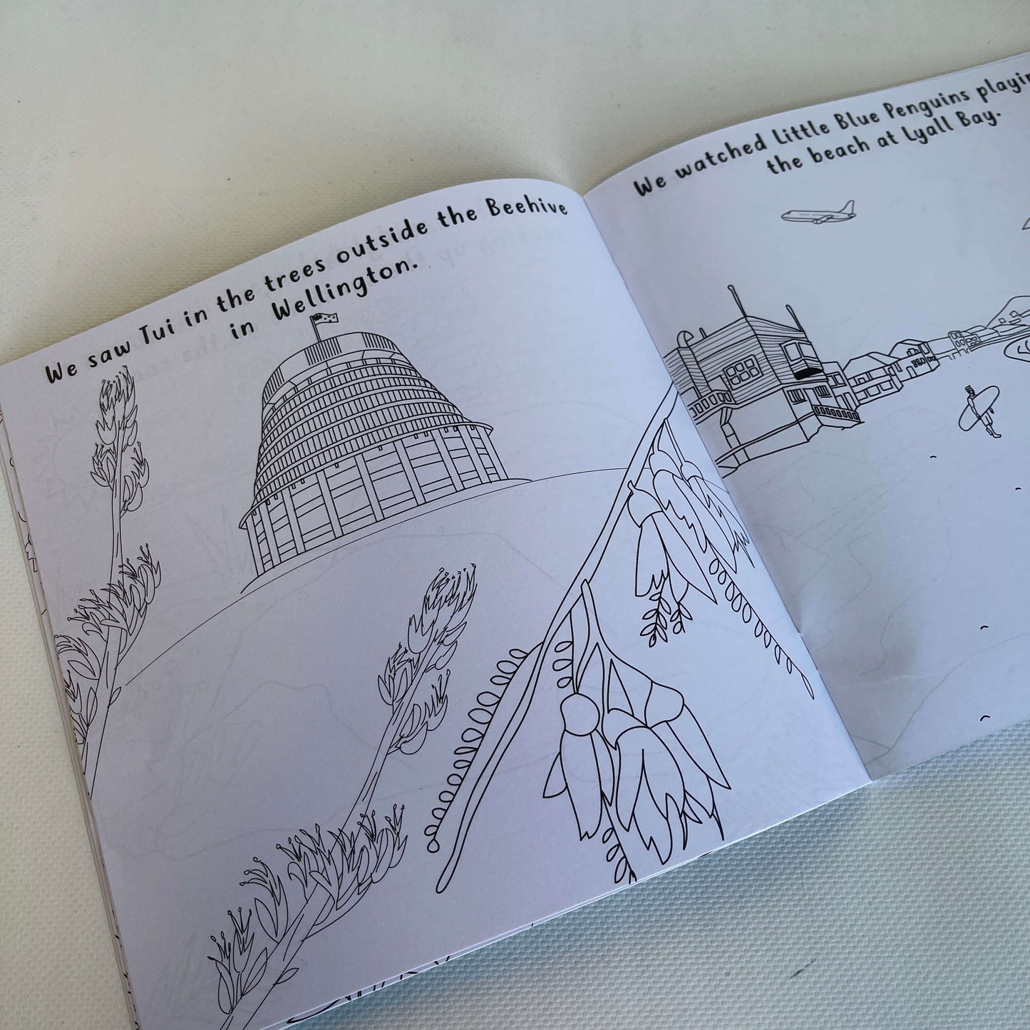 Pages from a childrens colouring book showing the Beehive parliment building.