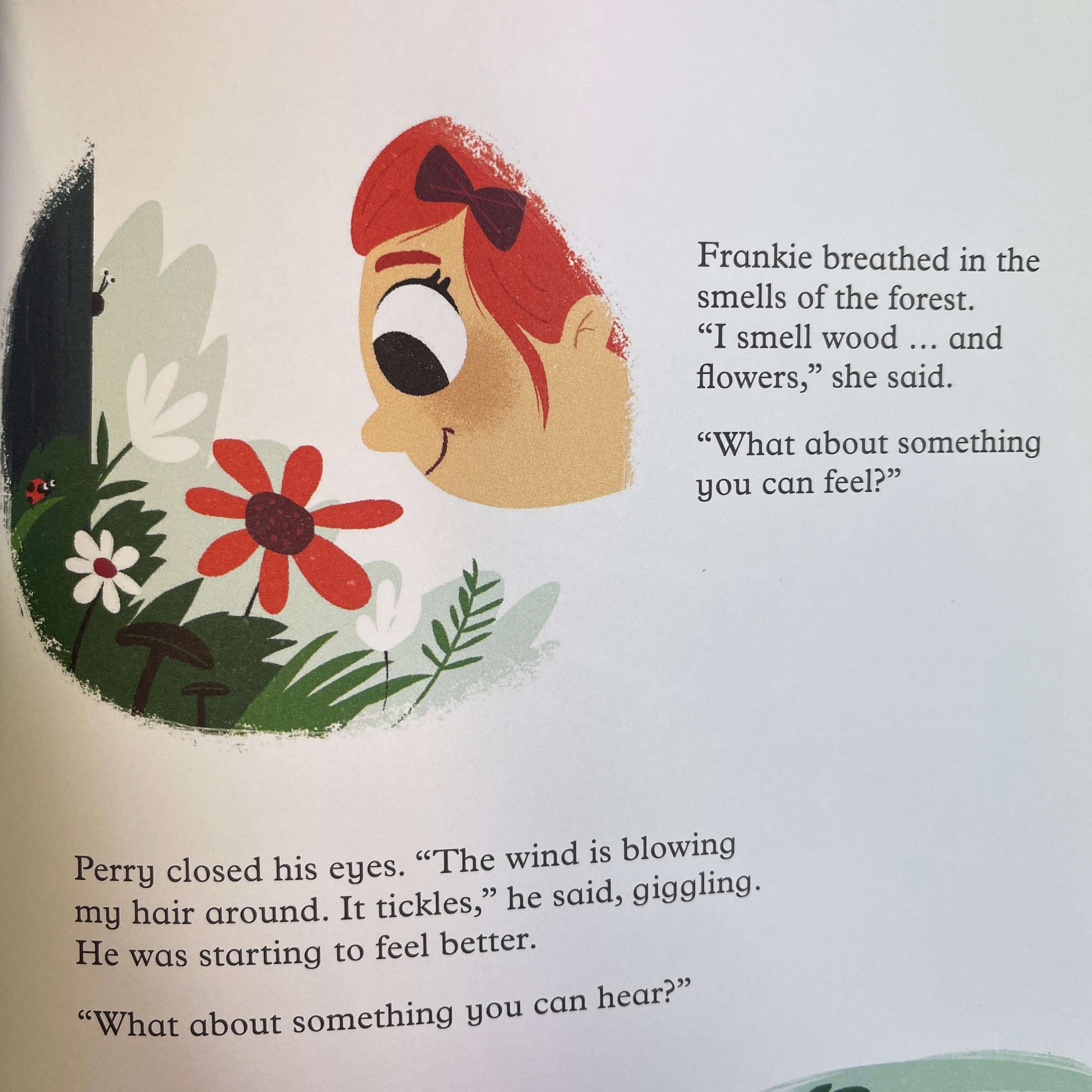 Childrens book "That's Not The Plan".