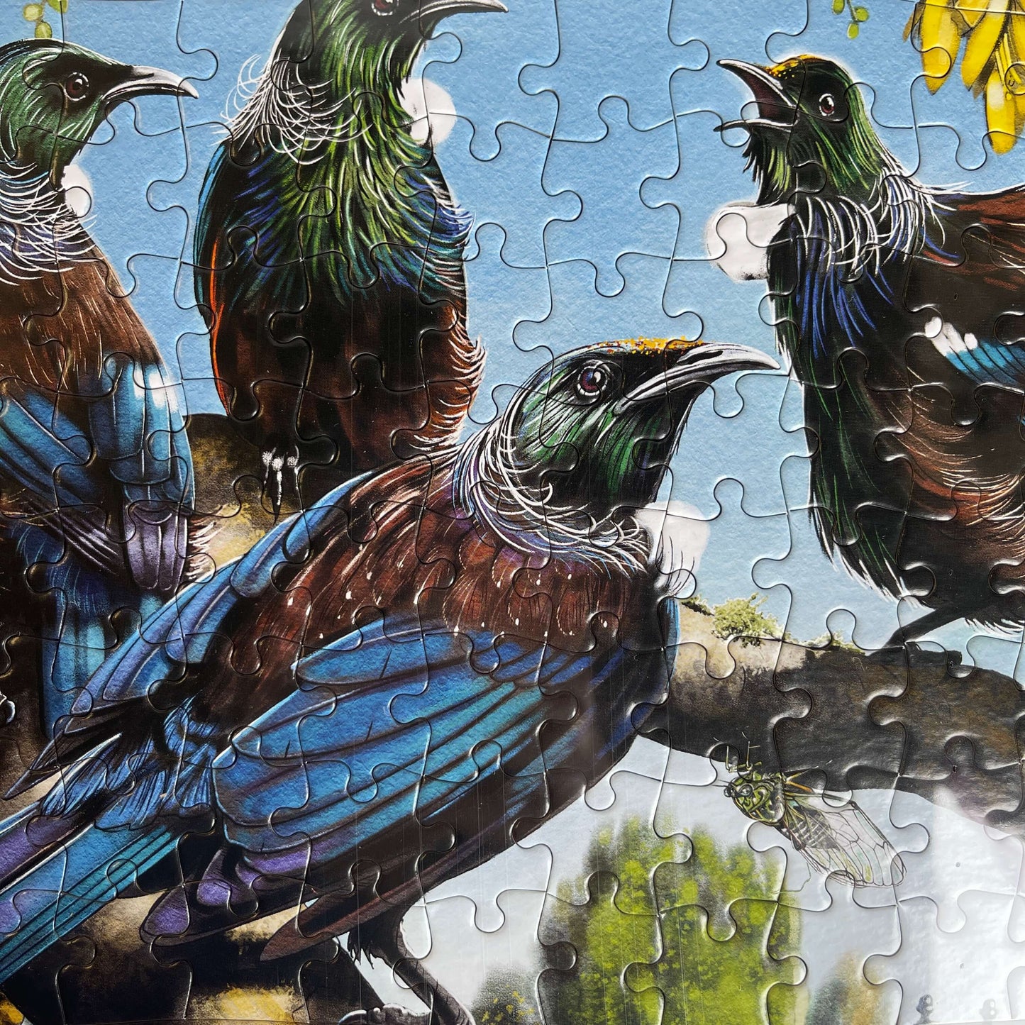 Tui Birds jigsaw puzzle.