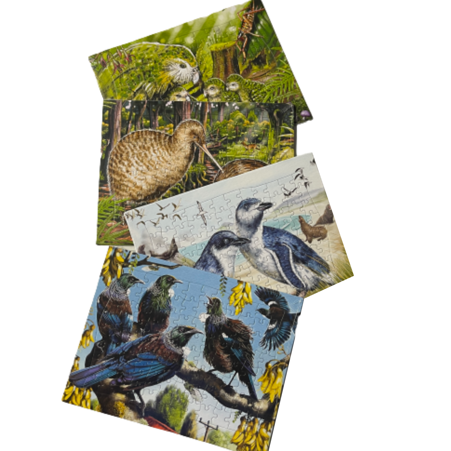 Selection of 4 puzzles each featuring native NZ birds.