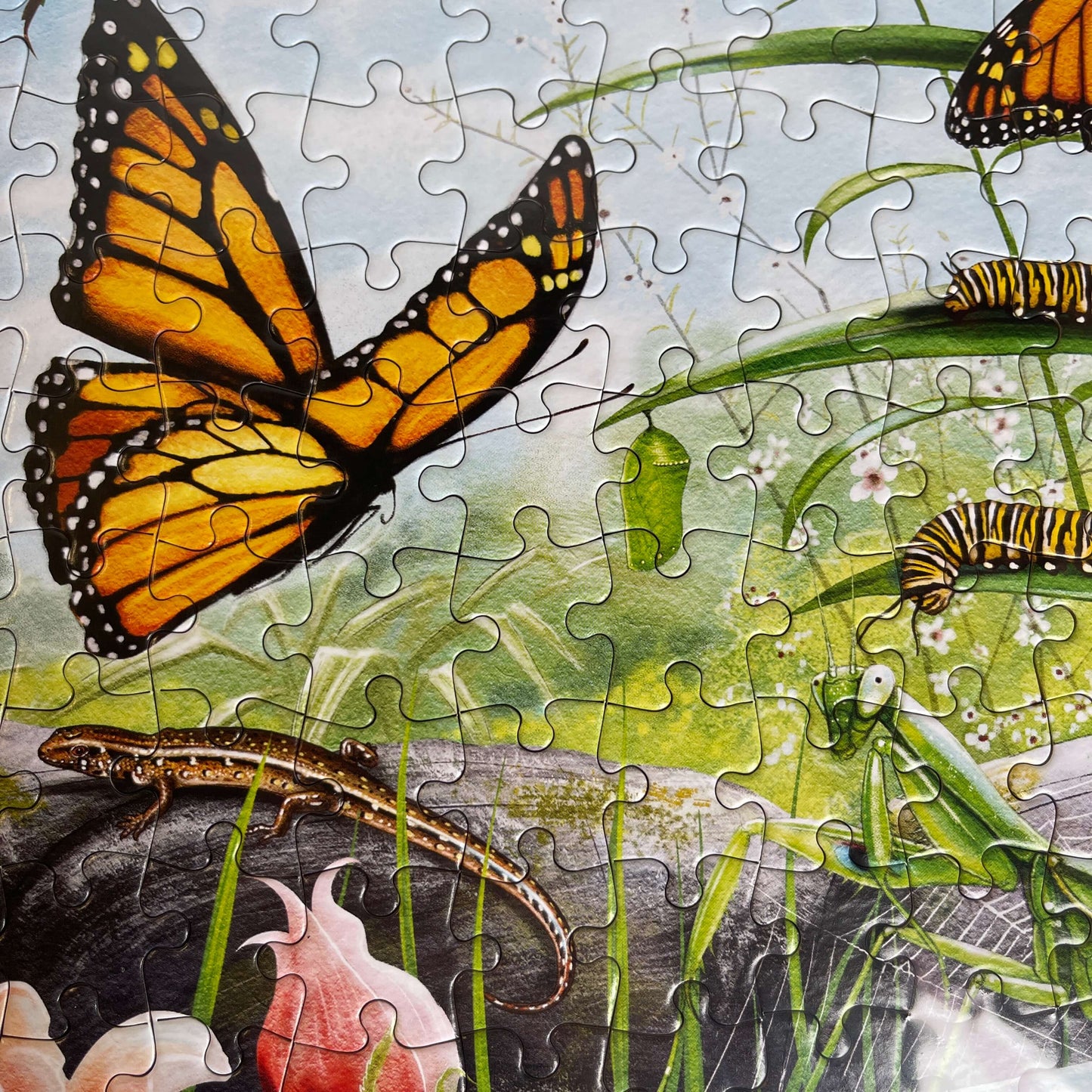 Jigsaw puzzle featuring Monarch butterflies and other insects.