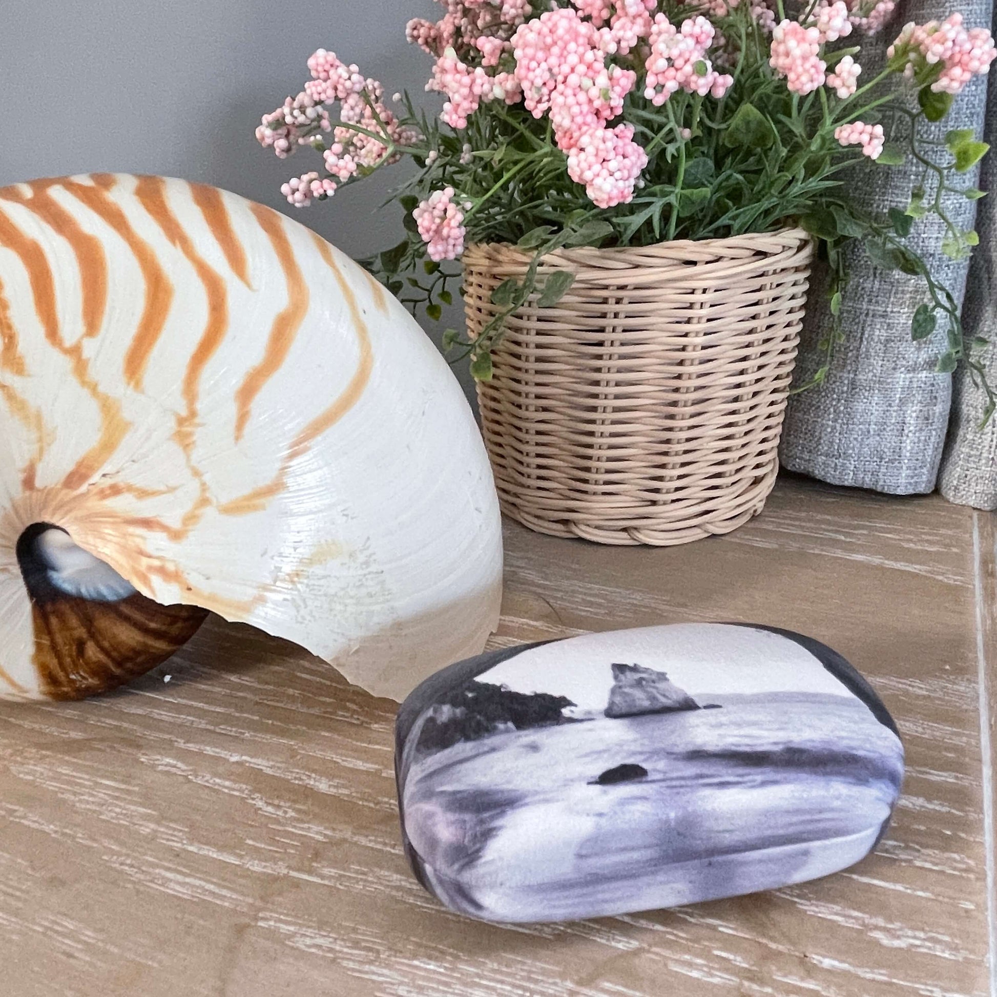 Small trinket case in monochrome with an image of Cathedral Cove on it sitting on a table with a large shell and faux pot plant.
