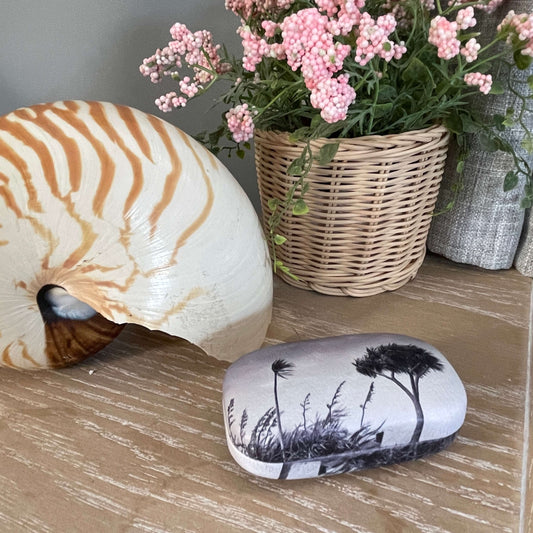 Small trinket case in monochrome with Cabbage trees on it sitting on a table with a large shell and faux pot plant.