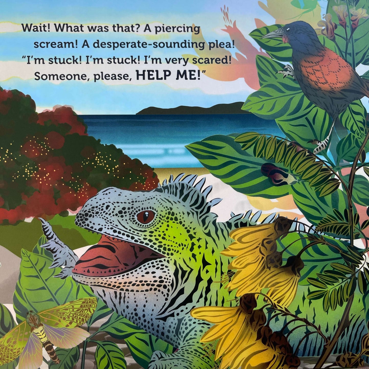 Page from Children's book Tu Meke Tuatara by Malcolm Clarke and illustrated by Flox.