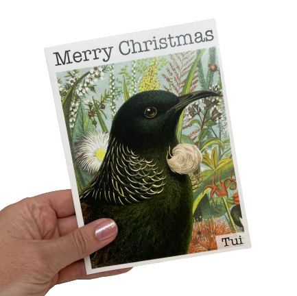 Christmas card with a Tui bird and flowers.