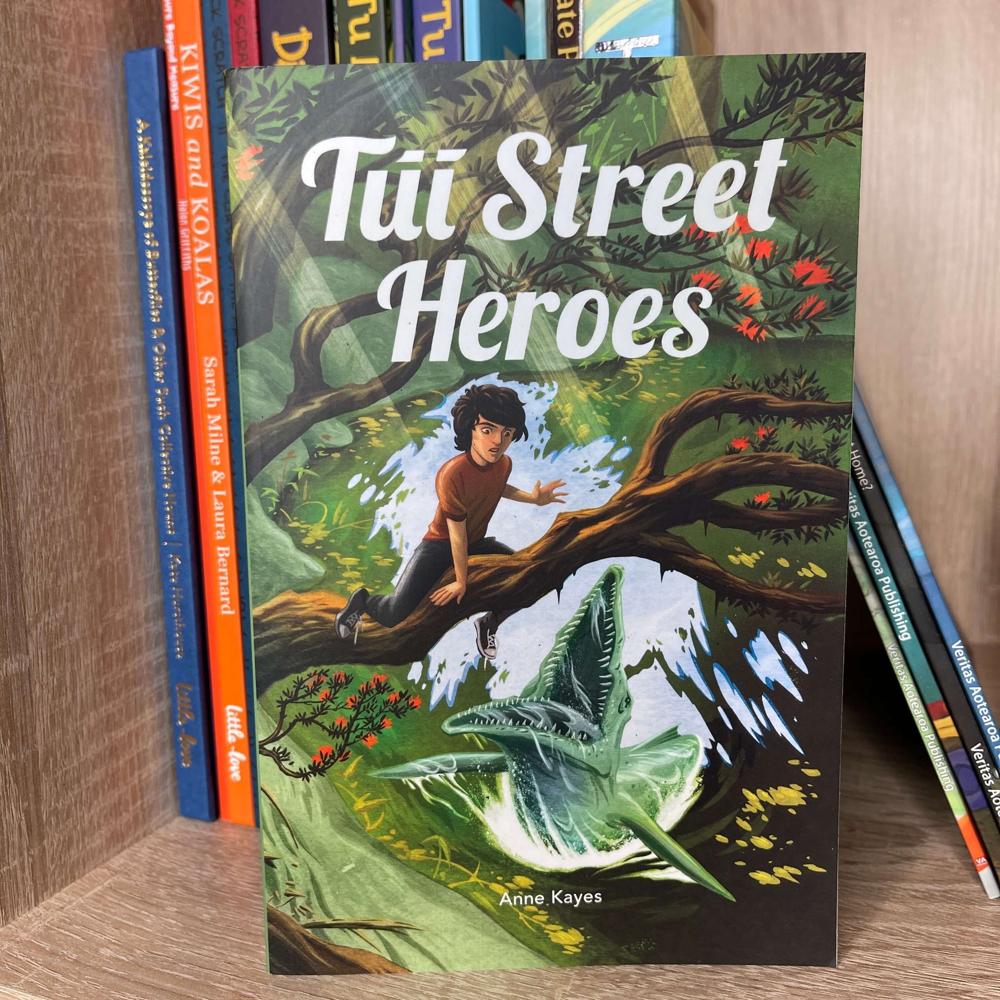 Young adults book Tui Street Heroes by Anne Kayes.