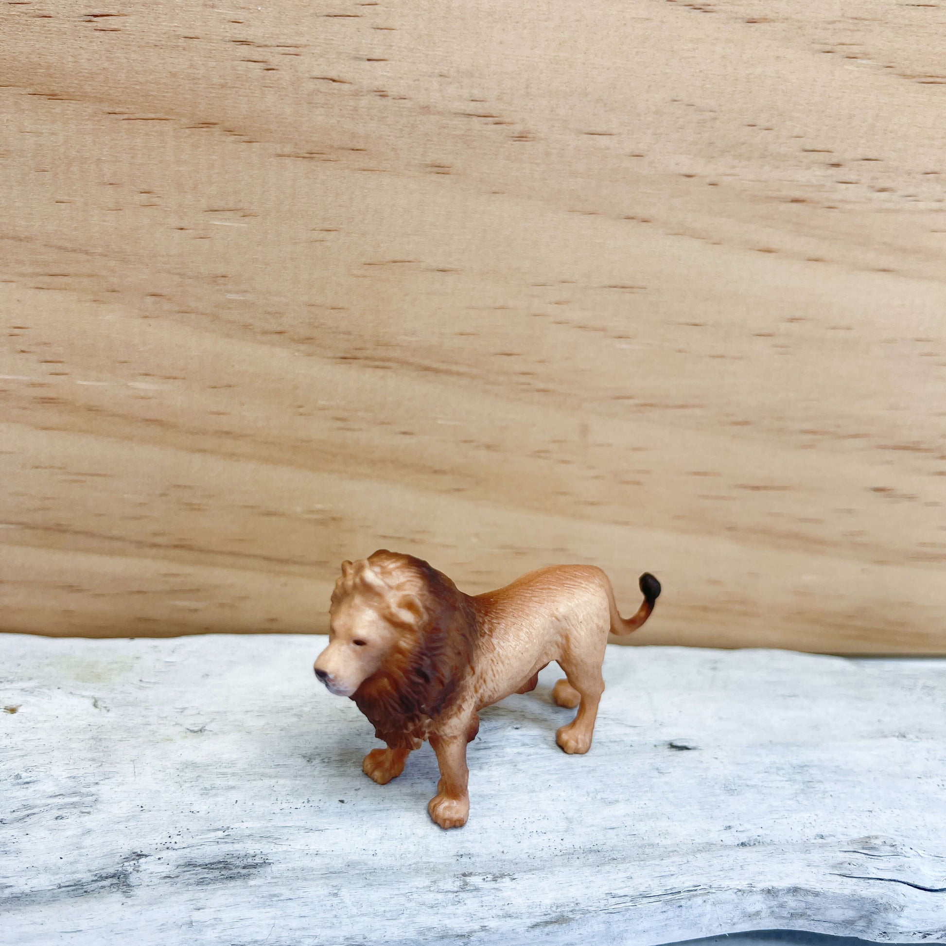 Mini lion figurine.