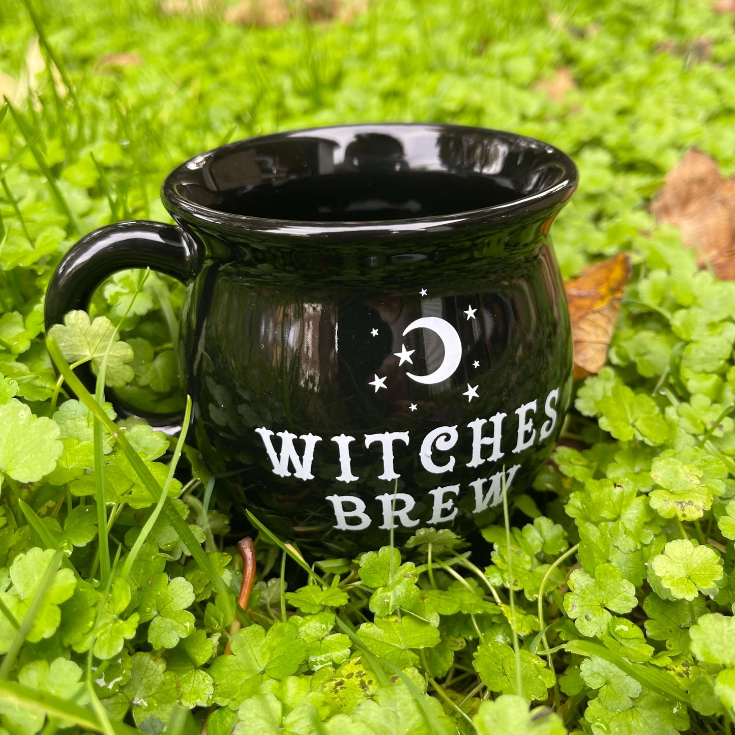 Black Cauldron shaped mug with "Witches Brew" in white text sitting on grass.