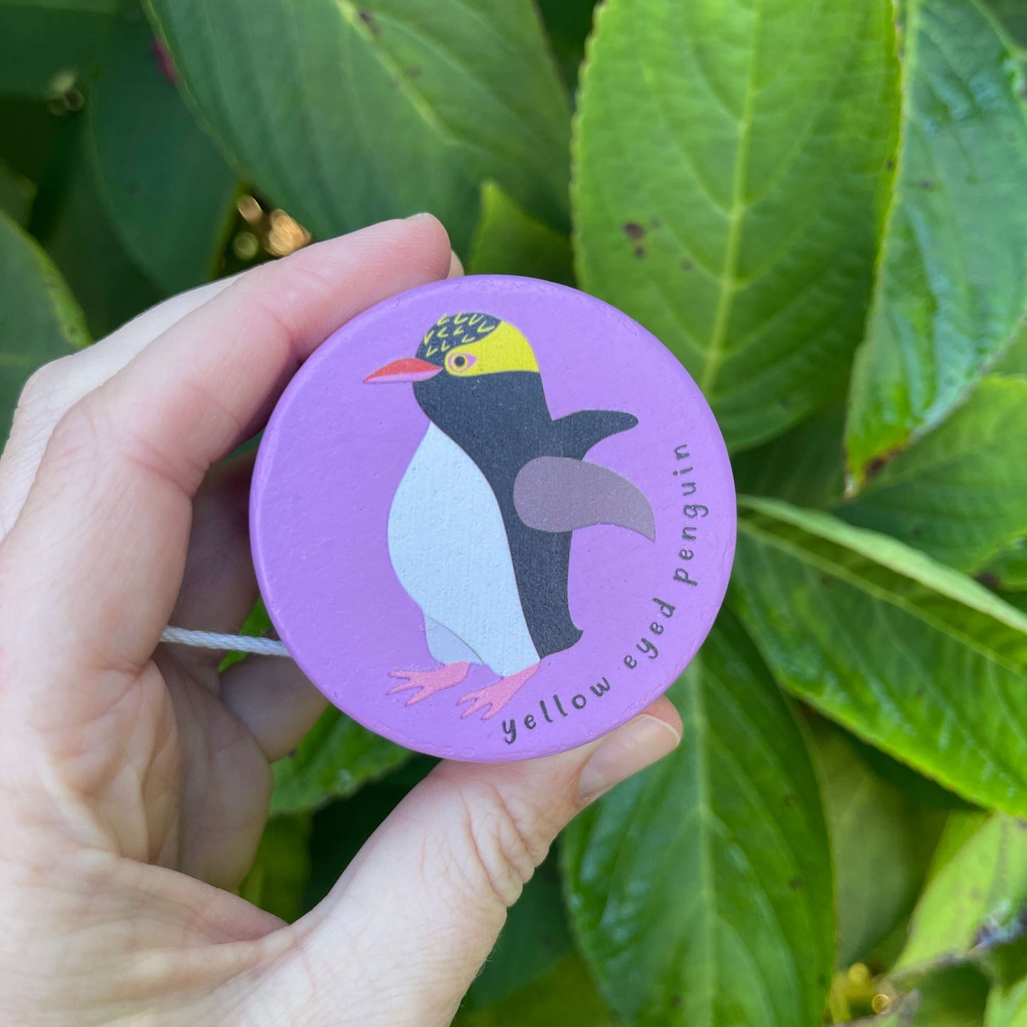 Womens hand holding a purple wooden yoyo with a Yellow Eyed Penguin painted on it.