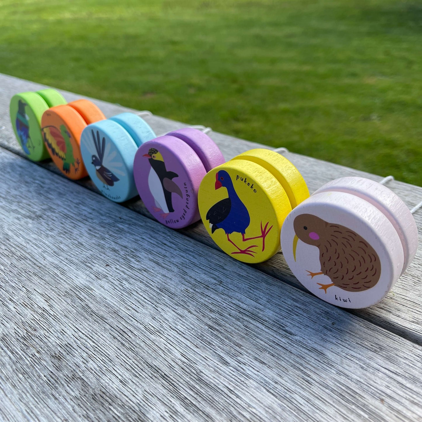 Six wooden yoyos in a variety of colours with birds of New Zealand painted on them.