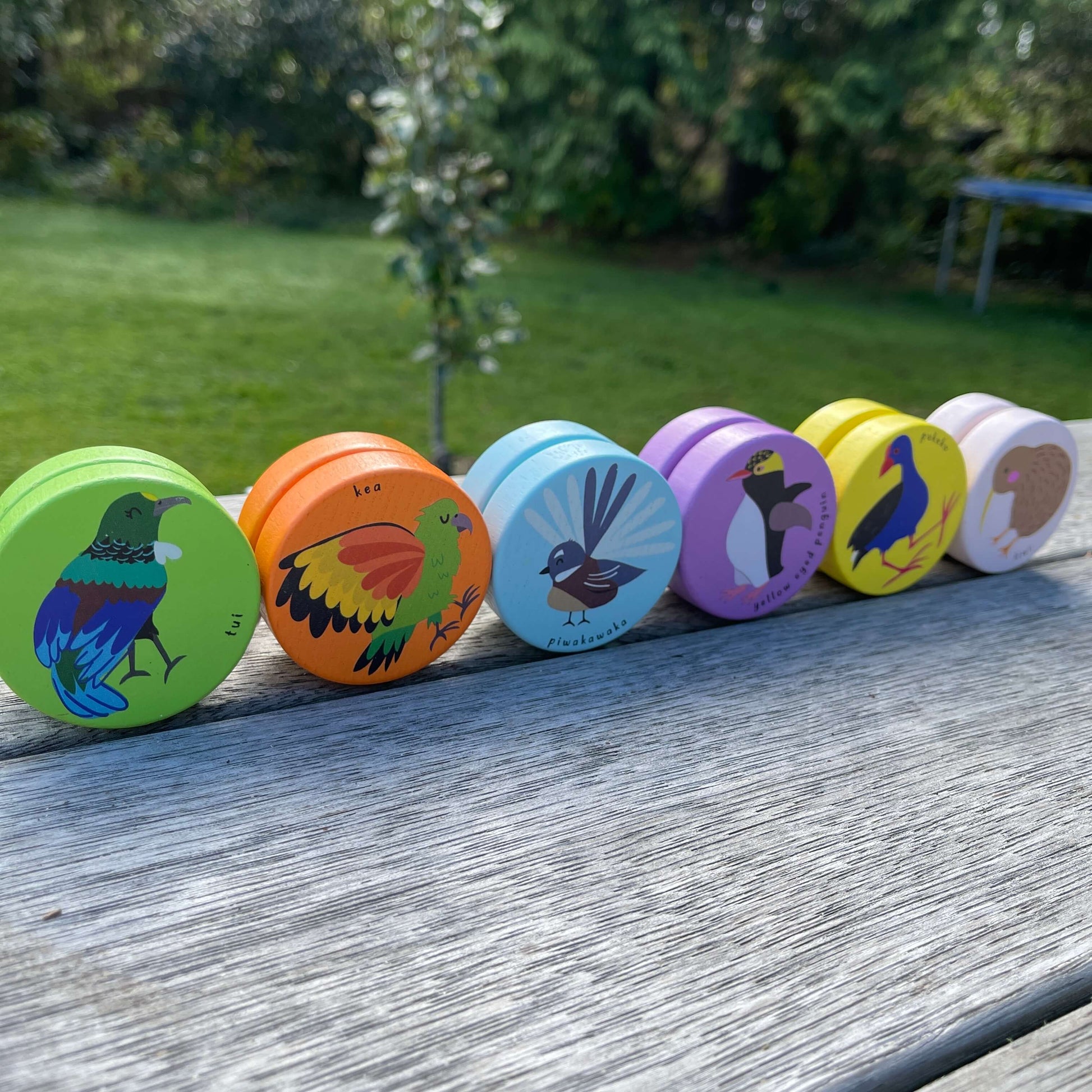 Six wooden yoyos in a variety of colours with birds of New Zealand painted on them.